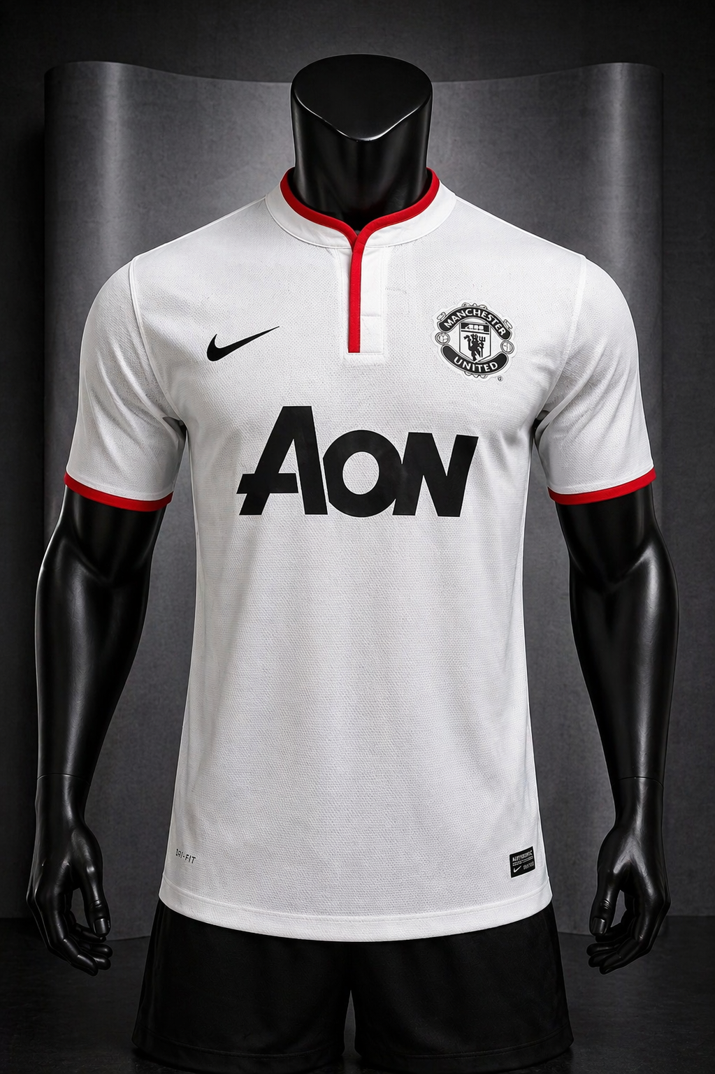 MANCHESTER UNITED 2012 - 2013
