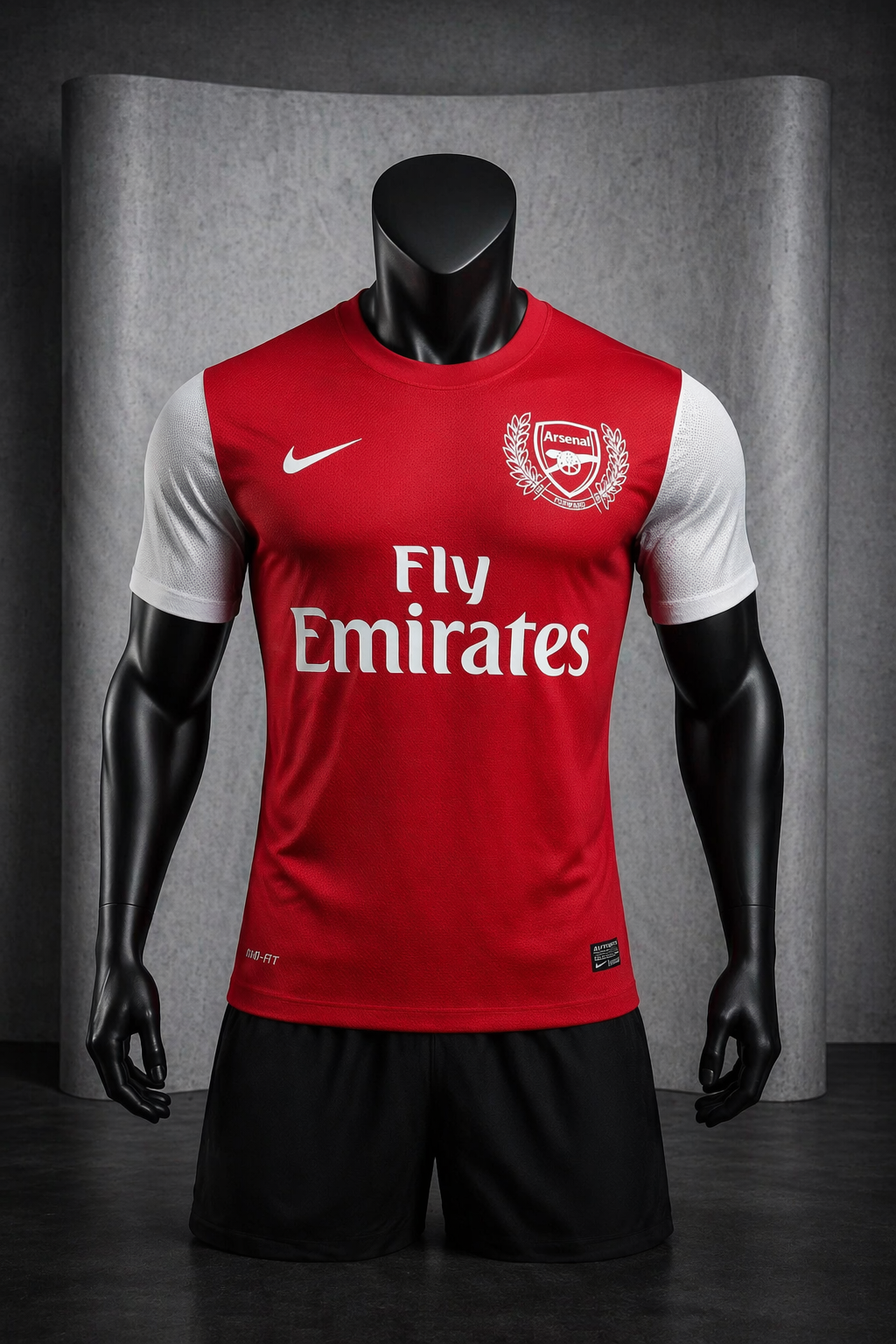 ARSENAL 2011 - 2012