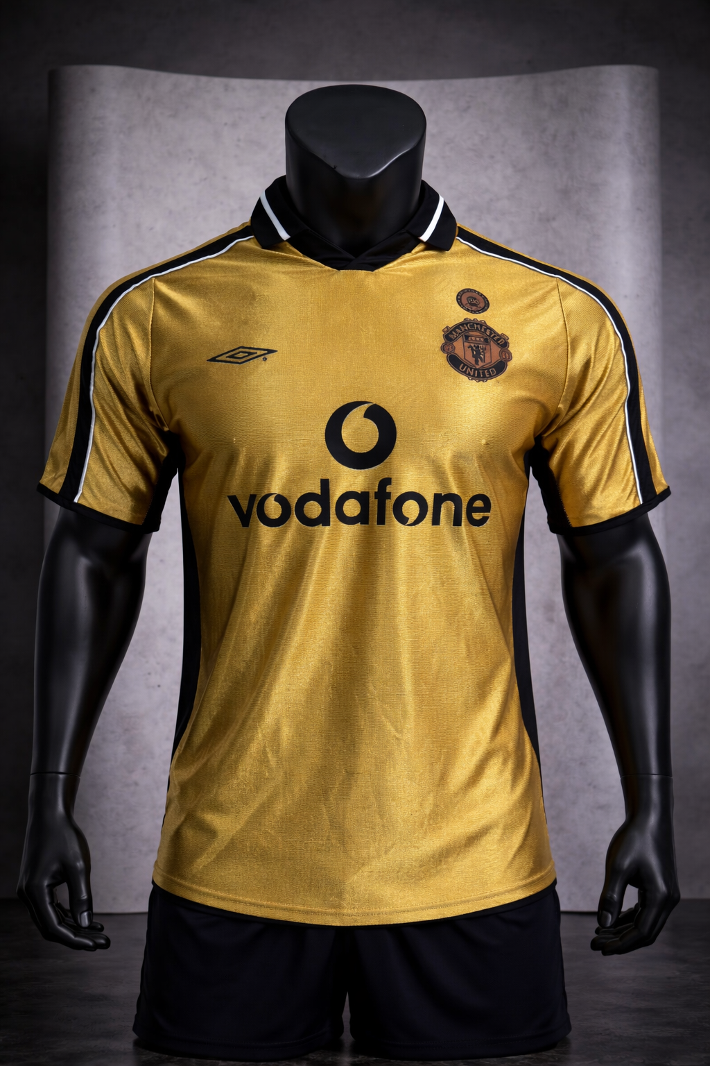 MANCHESTER UNITED 2001 - 2002