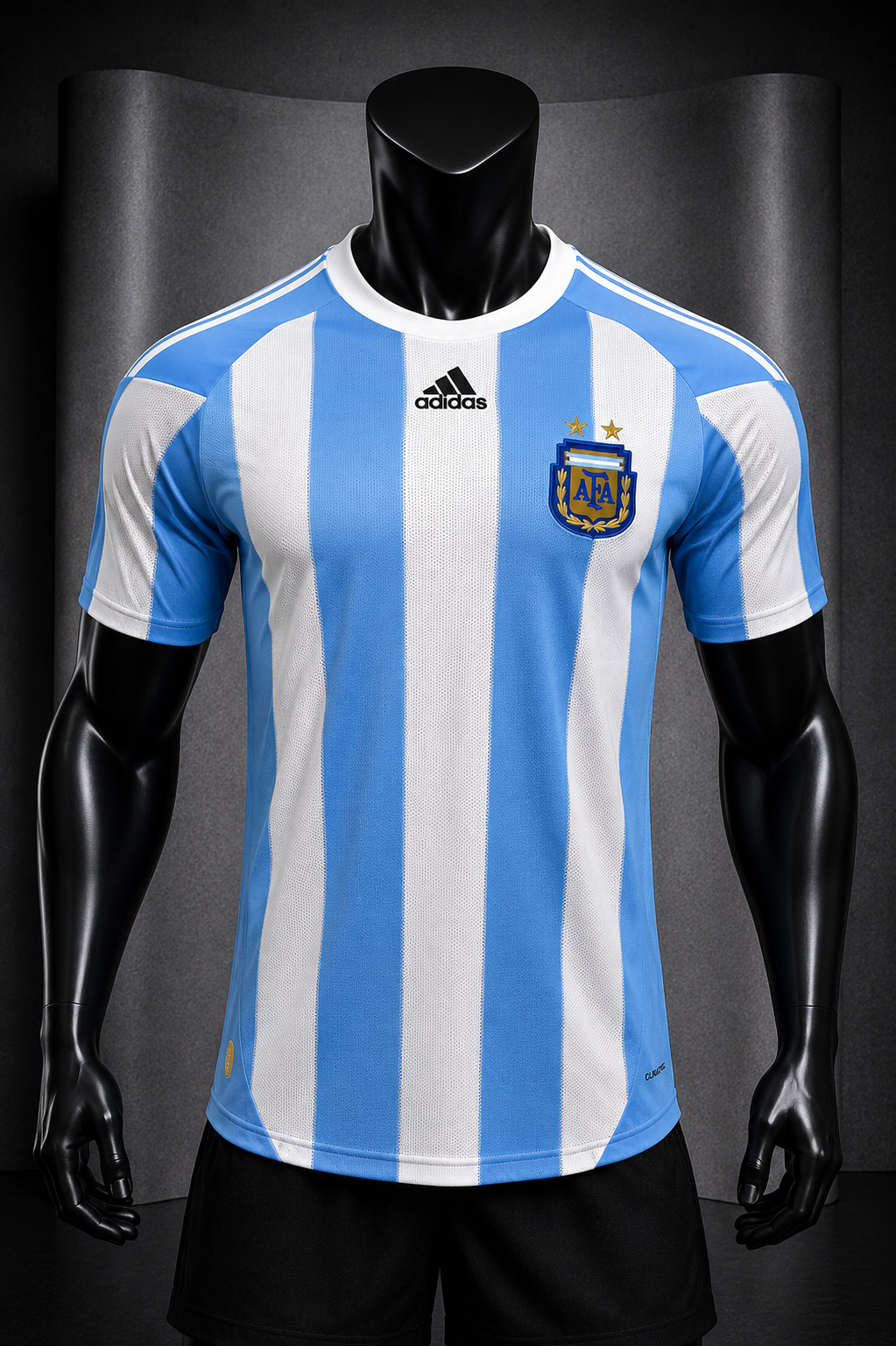 Estadio local de Argentina 2010